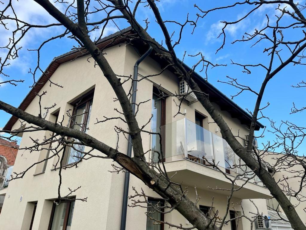 Nature In The City Lower Storey Bestern Сегед Экстерьер фото